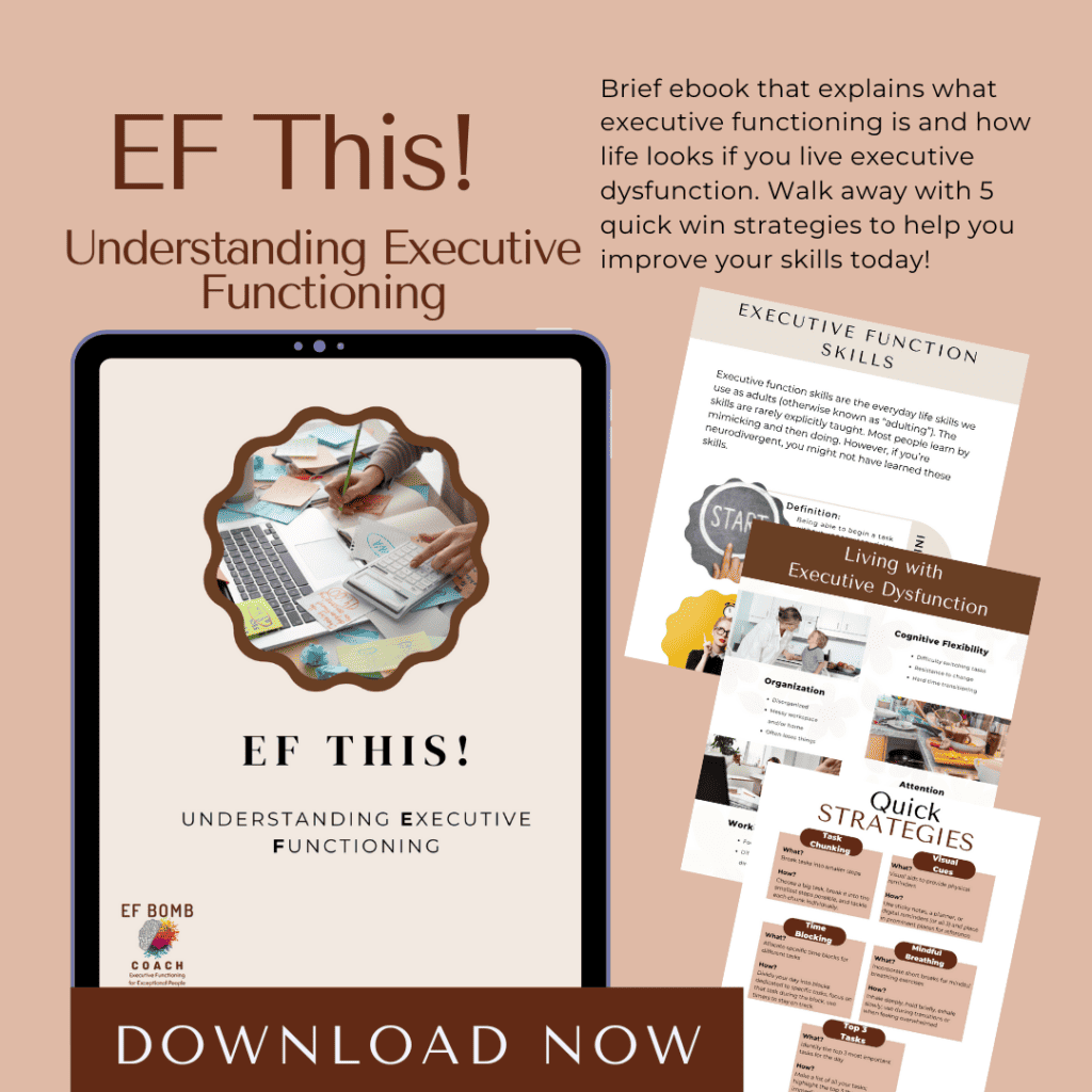 EF This! Understanding Executive Functioning